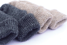 Load image into Gallery viewer, Little Fly 2 Pack
