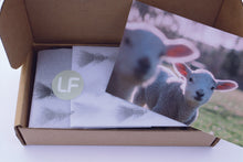 Load image into Gallery viewer, Little Fly 2 Pack
