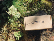Load image into Gallery viewer, Little Fly 2 Pack
